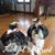 Janice Weeks Driskill's profile image
