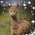 Jeff Salyer's profile image