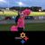 Jen Frawley Spisak's profile image