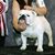 Suzie Rose's profile image