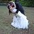 Ashley Brown's profile image