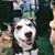 Therese Sadej's profile image