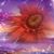 Karrie Vogel Carlson's profile image