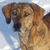 Dawn Iverson's profile image