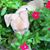 Valerie A. Sanders's profile image