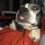 John Sprecher's profile image