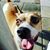 Julie Walker's profile image
