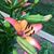 Mary Cassidy's profile image