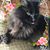 Pattie Pratt's profile image