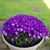 Alan Roberts's profile image