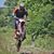 Brandon Laplante's profile image