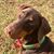 Betty Ann Mccracken's profile image