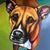 Theresa Sinks's profile image
