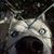 Brianne Miskovich's profile image