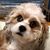 Mark Dunn's profile image