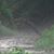 Cathie Pittillo's profile image