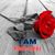 Amy Gingerich Williams's profile image