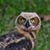 Richard Batten's profile image
