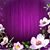 Dilia Jonathan Freddy Mercedes's profile image