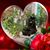 Fran Callaway's profile image