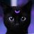 Zelma Strong's profile image
