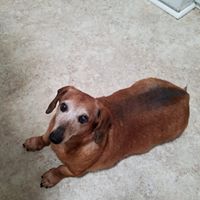 Linda Boudreaux's profile image