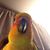 Christi Walden's profile image