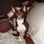 Allan Hebert's profile image
