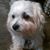 Valarie Mcdonald Norris's profile image