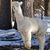 John Murry's profile image