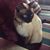 Melva Gann's profile image