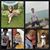 Raquel Wollin's profile image