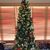 Sue Pechous's profile image
