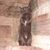 Jerrad Runge's profile image