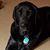 Sue Hannold Young's profile image