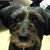 Susan Wendel's profile image