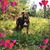 Jo Vino's profile image