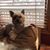 Christopher Elwell's profile image