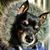 Valerie Cameron's profile image