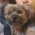 Miriam Bussant's profile image