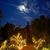 Kristen Franklin Heiderstadt's profile image