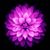 Jenn Fullick's profile image