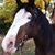 Diana Ande Vasquez's profile image