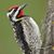 Terry Davis's profile image