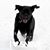 Debbie Garvey Sheats's profile image