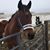 Sonia Hernandez's profile image
