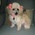 Karen Kreusch's profile image