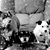 Tammy M. Rodriguez's profile image