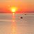 Sherry Henel Simet's profile image