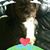 Marsha Carver Shinn's profile image